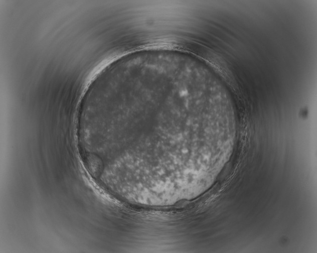 X0000116011086200912101335