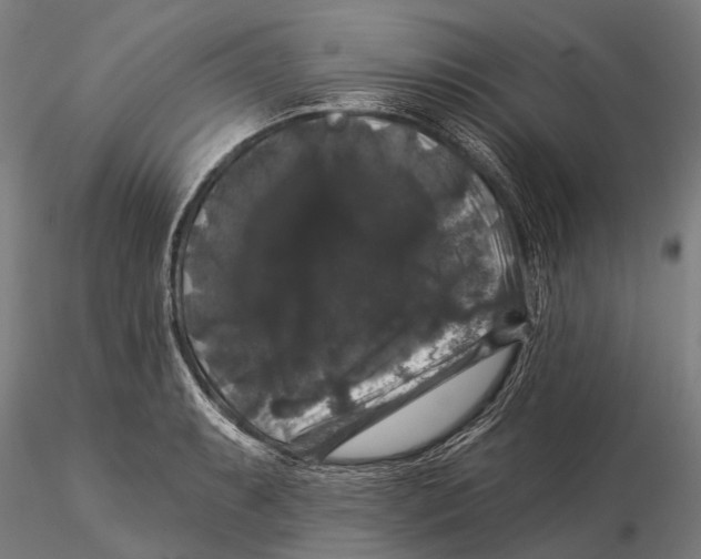 X0000116011087200912101335