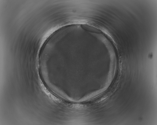 X0000116011088200912101335