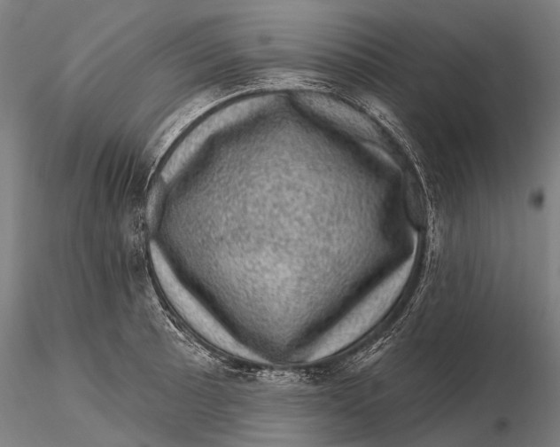 X0000116011089200912101335