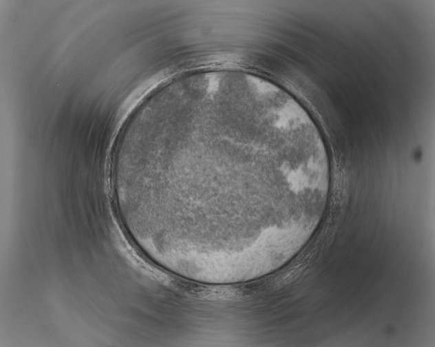 X0000116011090200912101335