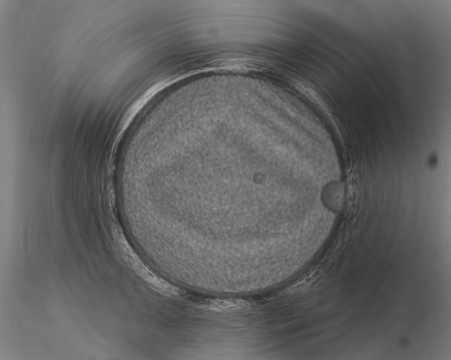 X0000116011091200912101335