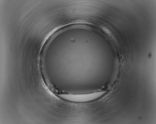 X0000116011092200912101335