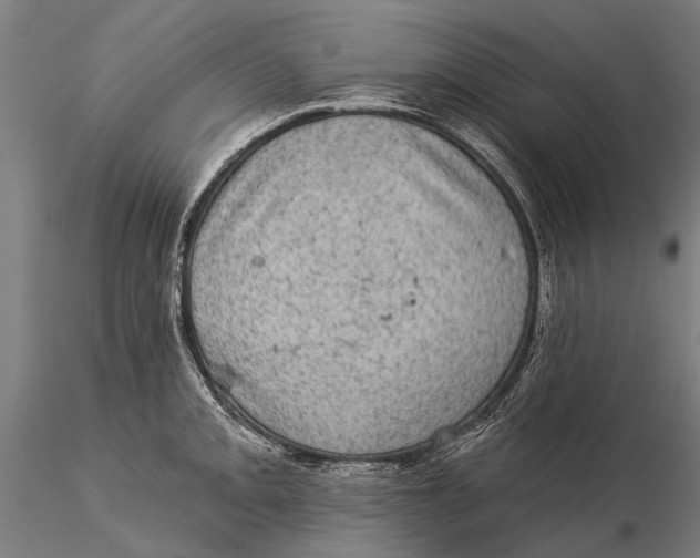 X0000116011093200912101335