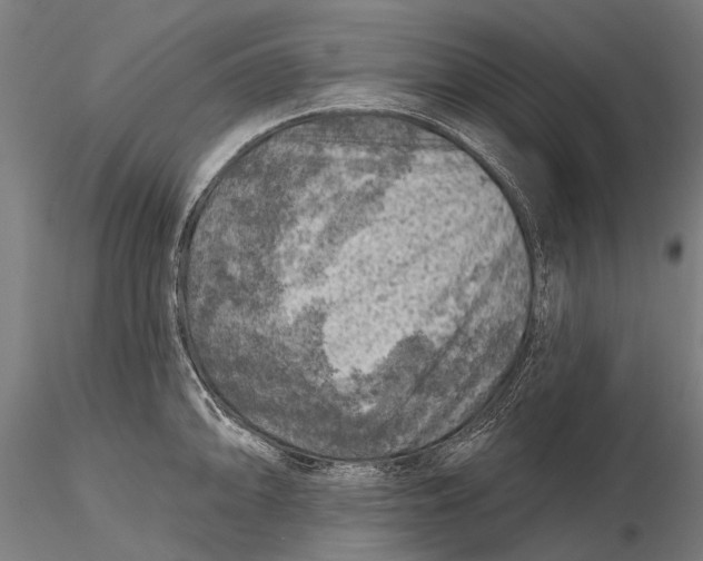 X0000116011094200912101335