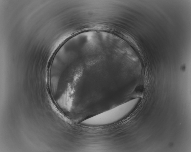 X0000116011095200912101335