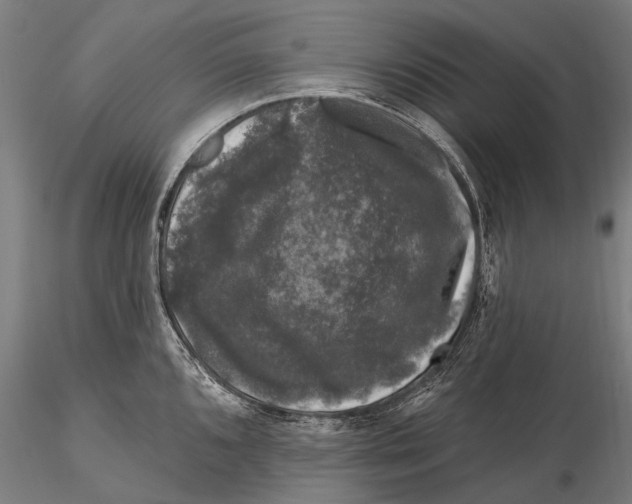 X0000116011096200912101335