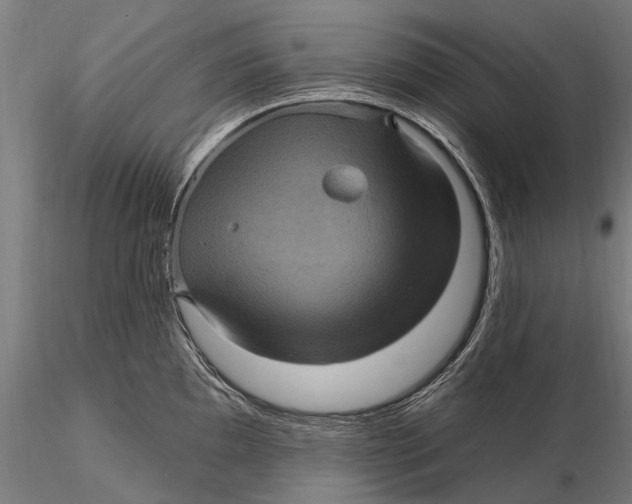 X0000116011097200912101335