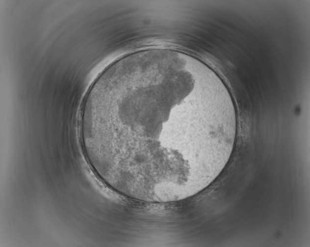 X0000116011098200912101335