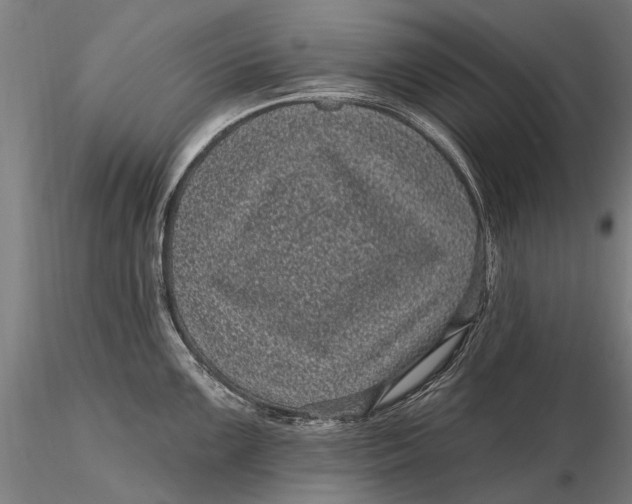 X0000116011099200912101335