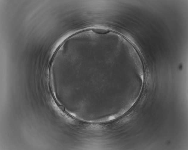 X0000116011100200912101335