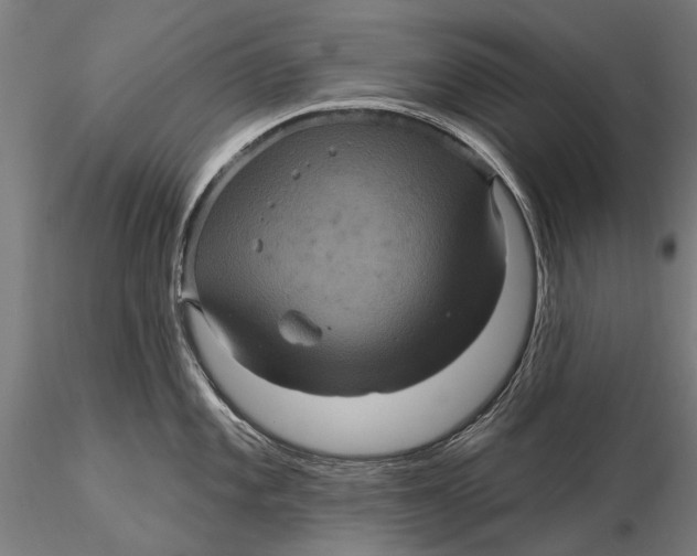 X0000116011101200912101335