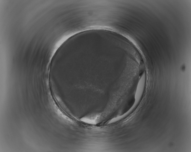 X0000116011102200912101335