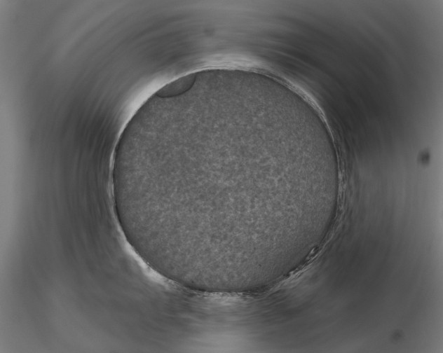 X0000116011103200912101335