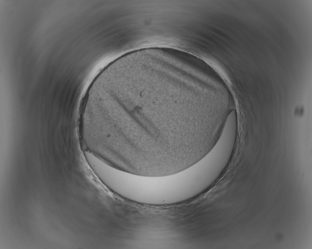 X0000116011104200912101335