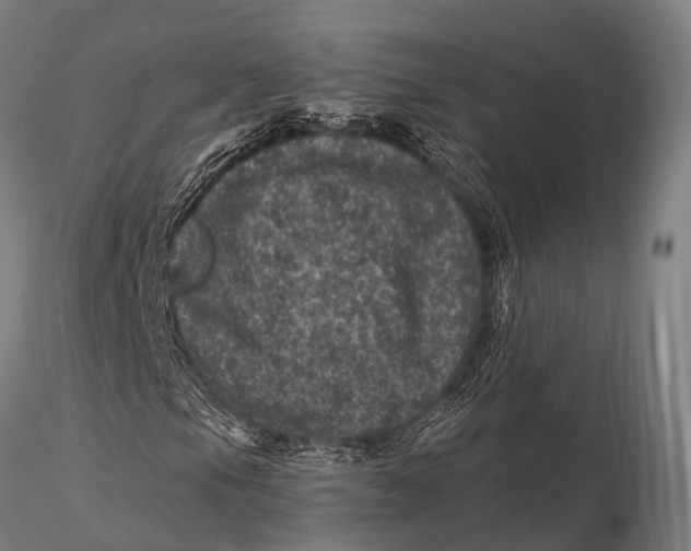 X0000116011105200912101334