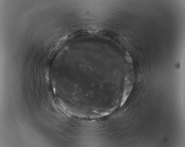 X0000116011106200912101334