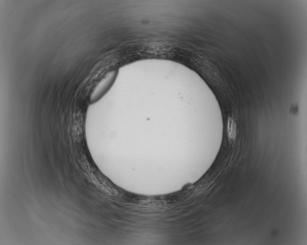 X0000116011107200912101334