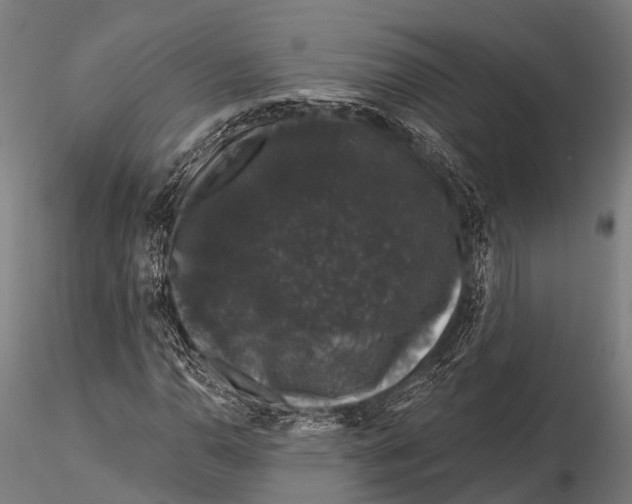 X0000116011110200912101335