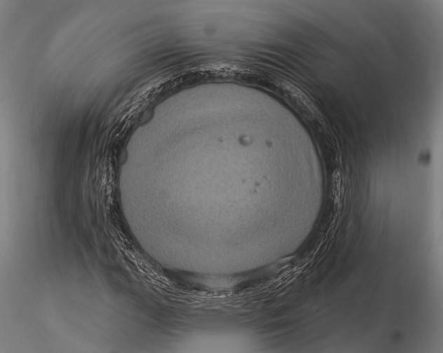 X0000116011111200912101335