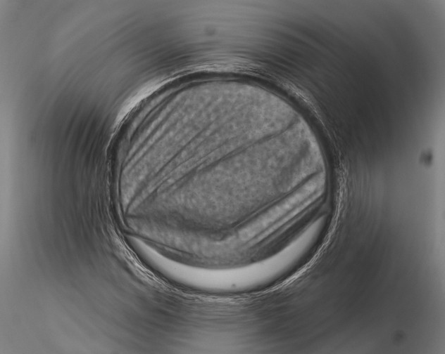 X0000116011114200912101335