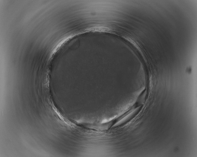 X0000116011115200912101335