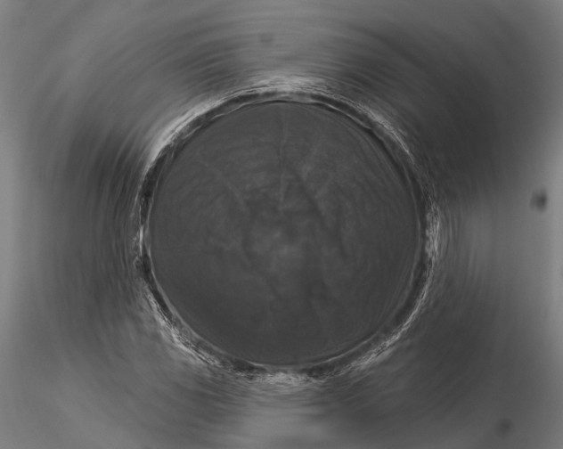 X0000116011117200912101335