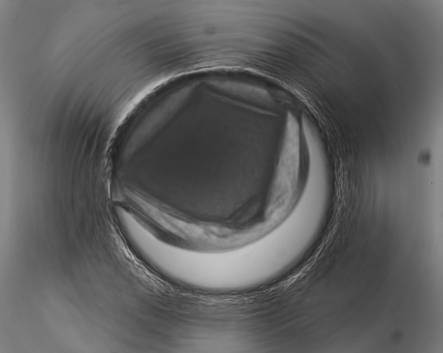 X0000116011118200912101335