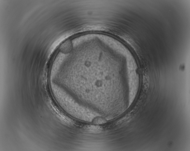 X0000116011119200912101335