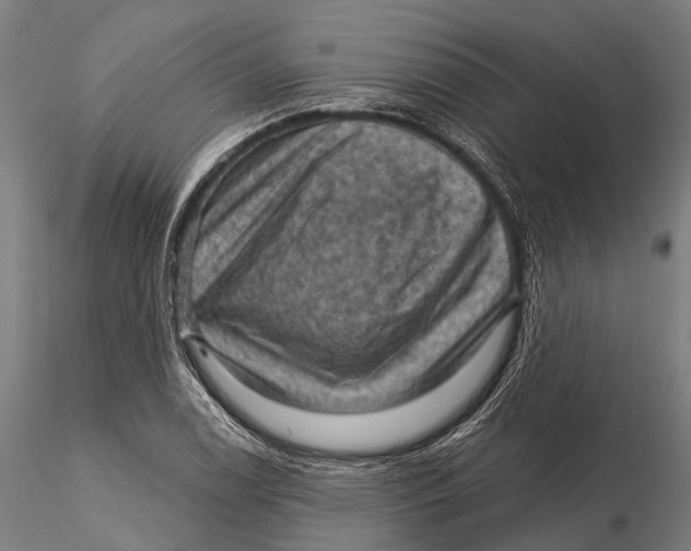 X0000116011122200912101335