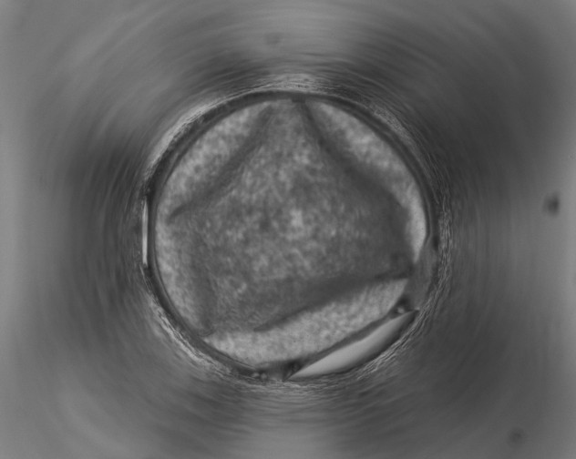 X0000116011123200912101335