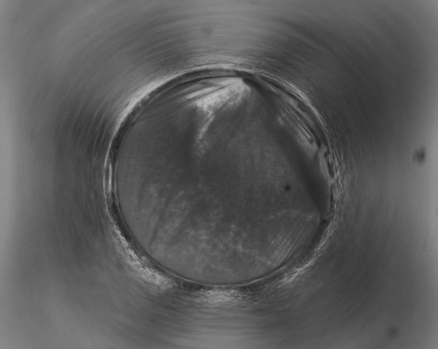 X0000116011125200912101335