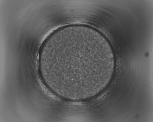 X0000116011126200912101335