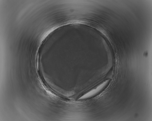 X0000116011127200912101335