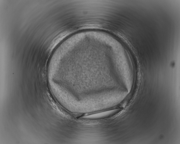 X0000116011129200912101335