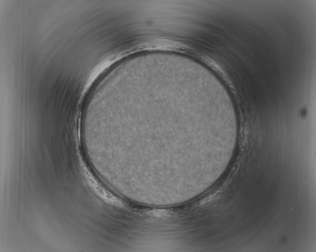 X0000116011130200912101335