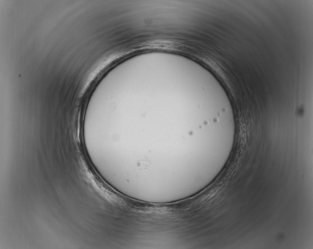 X0000116011131200912101335