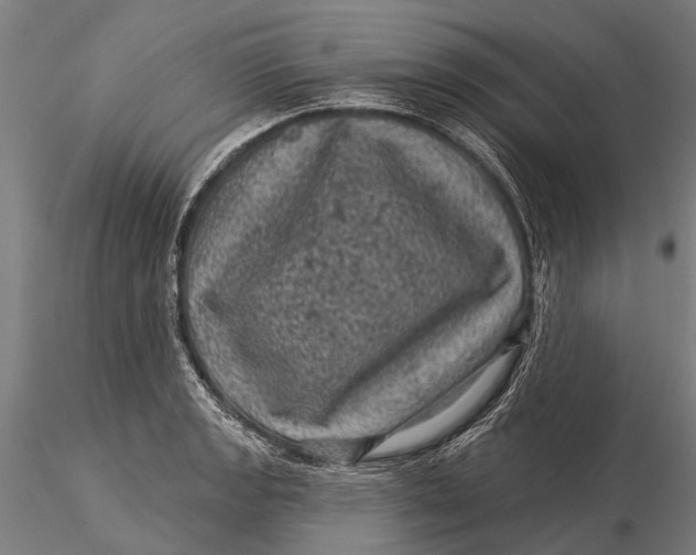 X0000116011133200912101335