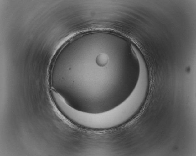 X0000116011134200912101335