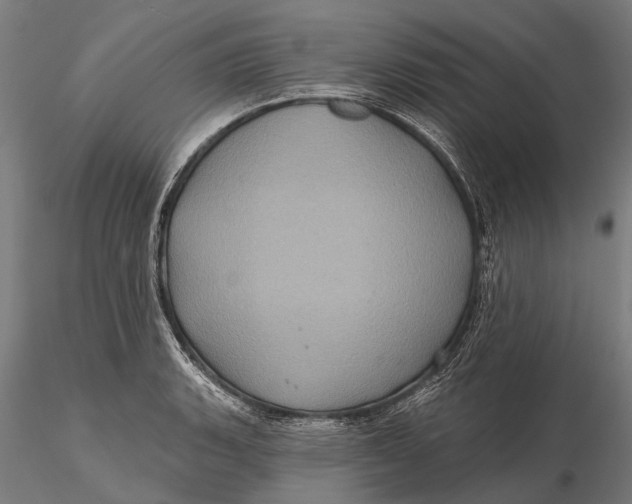 X0000116011135200912101335