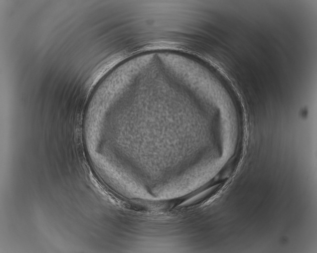 X0000116011137200912101335