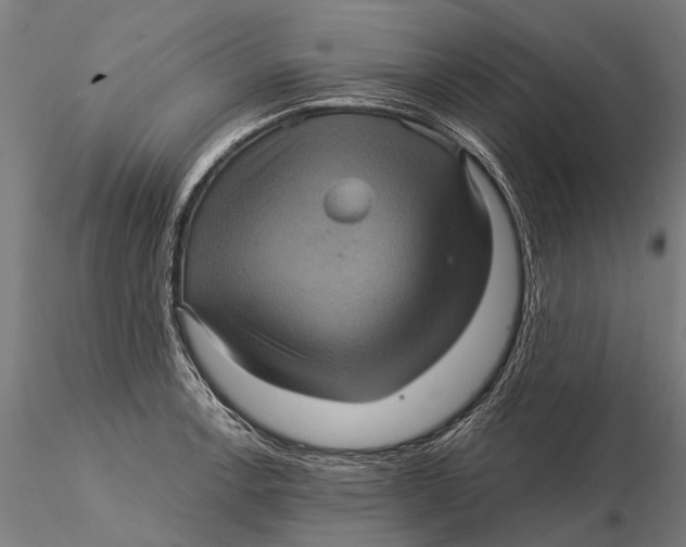 X0000116011138200912101335