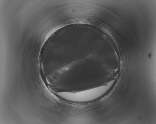 X0000116011141200912101335