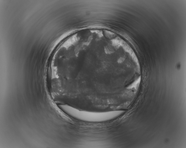 X0000116011142200912101335