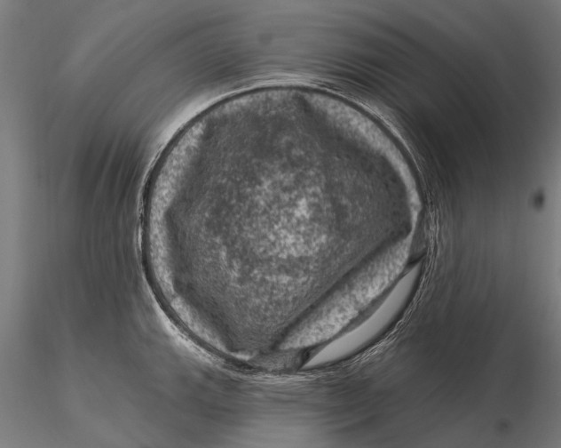 X0000116011143200912101335