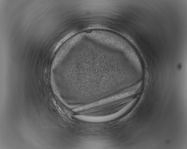 X0000116011145200912101335