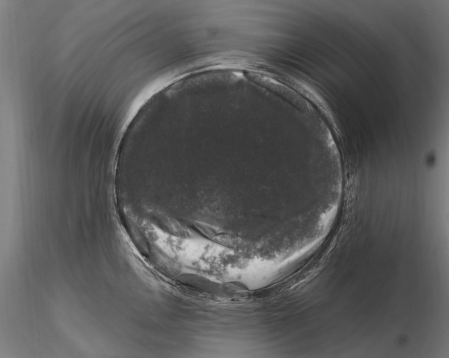 X0000116011146200912101335