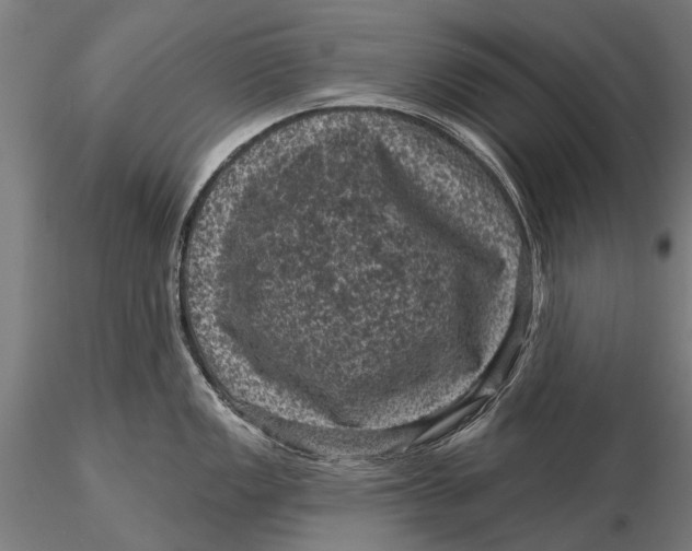 X0000116011149200912101335