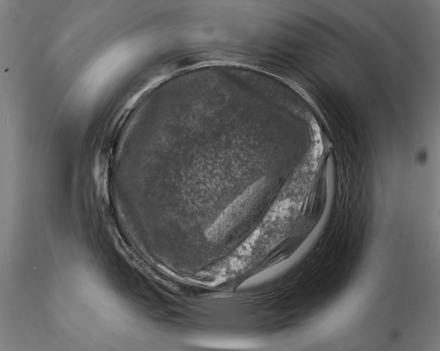 X0000116011151200912101335