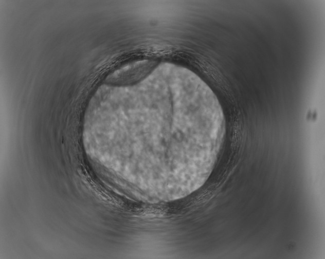 X0000116011153200912101334